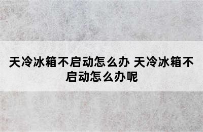 天冷冰箱不启动怎么办 天冷冰箱不启动怎么办呢